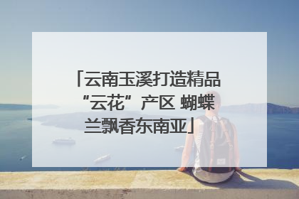 云南玉溪打造精品“云花”产区 蝴蝶兰飘香东南亚