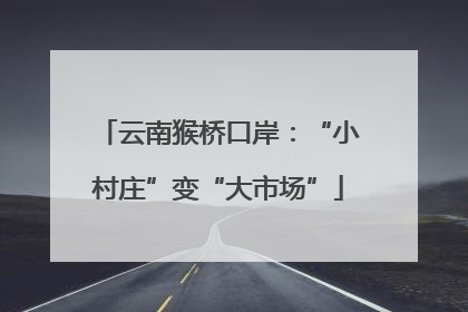 云南猴桥口岸：“小村庄”变“大市场”