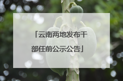 云南两地发布干部任前公示公告