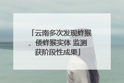 云南多次发现蜂猴、倭蜂猴实体 监测获阶段性成果