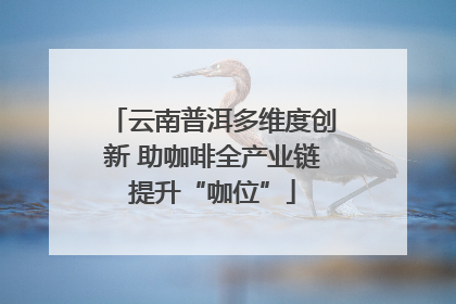 云南普洱多维度创新 助咖啡全产业链提升“咖位”