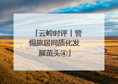 云岭时评丨警惕旅居同质化发展苗头④