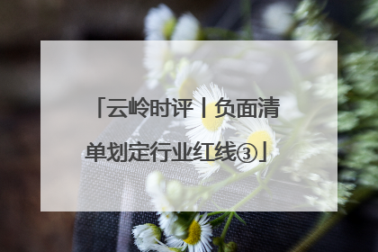 云岭时评丨负面清单划定行业红线③