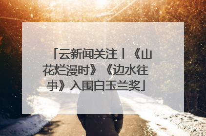 云新闻关注丨《山花烂漫时》《边水往事》入围白玉兰奖