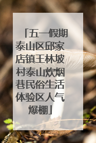 五一假期泰山区邱家店镇王林坡村泰山炊烟巷民俗生活体验区人气爆棚