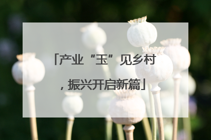 产业“玉”见乡村，振兴开启新篇