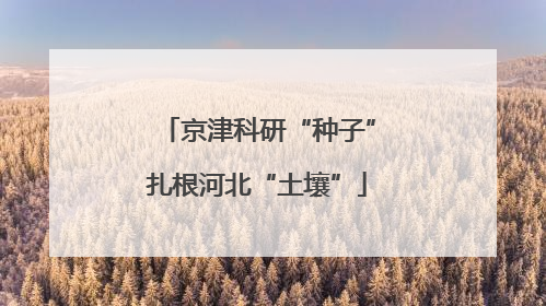 京津科研“种子”扎根河北“土壤”