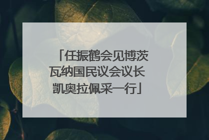 任振鹤会见博茨瓦纳国民议会议长凯奥拉佩采一行