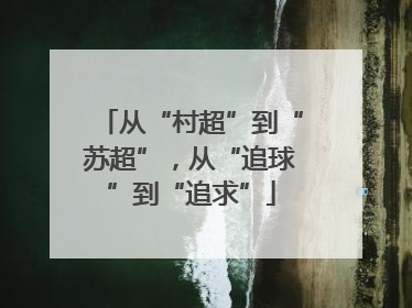 从“村超”到“苏超”，从“追球”到“追求”