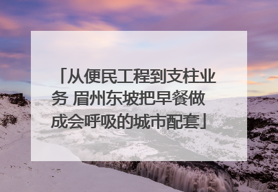 从便民工程到支柱业务 眉州东坡把早餐做成会呼吸的城市配套