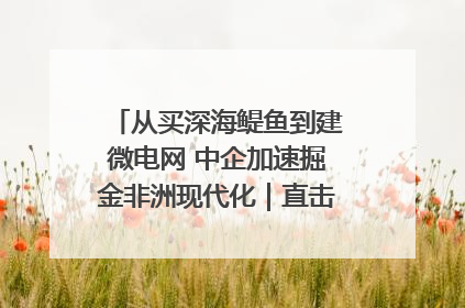 从买深海鳀鱼到建微电网 中企加速掘金非洲现代化｜直击中非经贸博览会