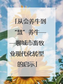 从会养牛到“慧”养牛——聊城市畜牧业现代化转型的启示