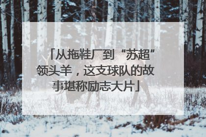 从拖鞋厂到“苏超”领头羊，这支球队的故事堪称励志大片