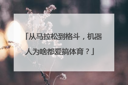 从马拉松到格斗，机器人为啥都爱搞体育？