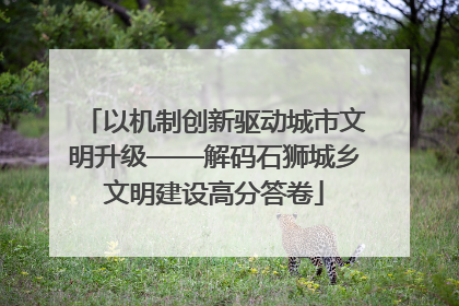 以机制创新驱动城市文明升级——解码石狮城乡文明建设高分答卷