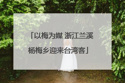 以梅为媒 浙江兰溪杨梅乡迎来台湾客