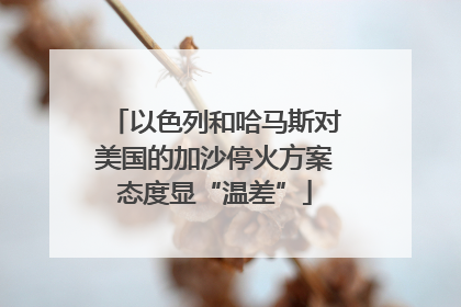 以色列和哈马斯对美国的加沙停火方案态度显“温差”