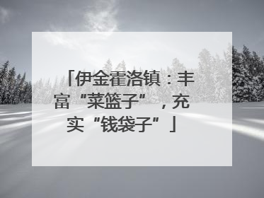 伊金霍洛镇：丰富“菜篮子”，充实“钱袋子”