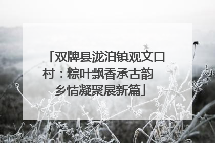 双牌县泷泊镇观文口村：粽叶飘香承古韵 乡情凝聚展新篇