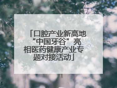 口腔产业新高地 “中国牙谷”亮相医药健康产业专题对接活动