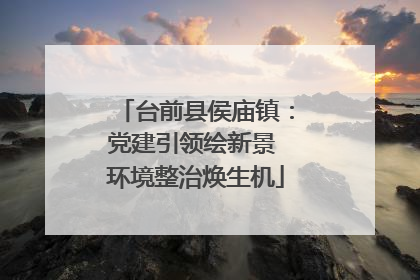 台前县侯庙镇：党建引领绘新景 环境整治焕生机