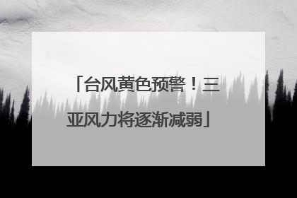 台风黄色预警！三亚风力将逐渐减弱
