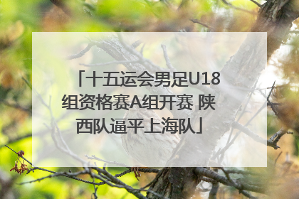 十五运会男足U18组资格赛A组开赛 陕西队逼平上海队