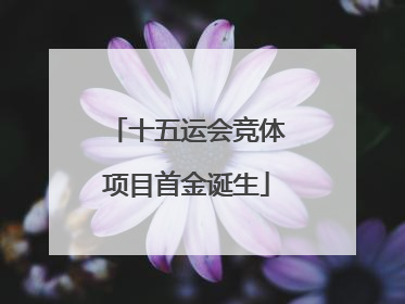 十五运会竞体项目首金诞生