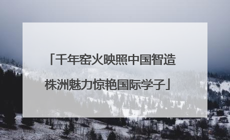 千年窑火映照中国智造 株洲魅力惊艳国际学子