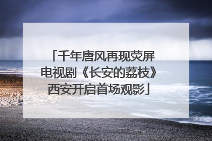 千年唐风再现荧屏 电视剧《长安的荔枝》西安开启首场观影