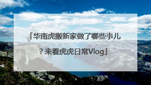 华南虎搬新家做了哪些事儿？来看虎虎日常Vlog