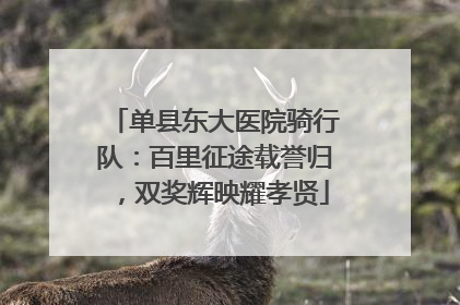 单县东大医院骑行队：百里征途载誉归，双奖辉映耀孝贤