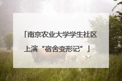 南京农业大学学生社区上演“宿舍变形记”