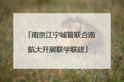 南京江宁城管联合南航大开展联学联建