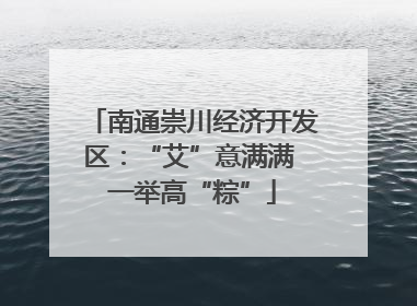 南通崇川经济开发区：“艾”意满满 一举高“粽”