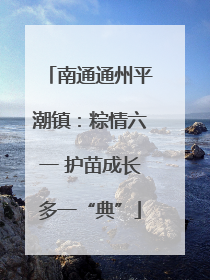 南通通州平潮镇：粽情六一 护苗成长多一“典”