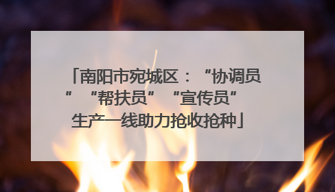 南阳市宛城区：“协调员”“帮扶员”“宣传员” 生产一线助力抢收抢种