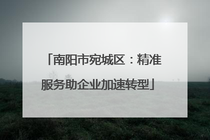 南阳市宛城区：精准服务助企业加速转型