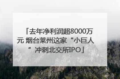 去年净利润超8000万元 烟台莱州这家“小巨人”冲刺北交所IPO