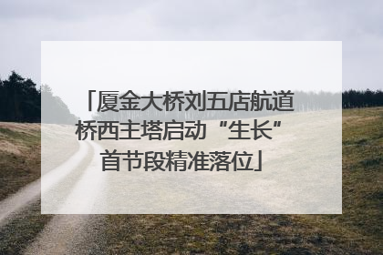 厦金大桥刘五店航道桥西主塔启动“生长” 首节段精准落位