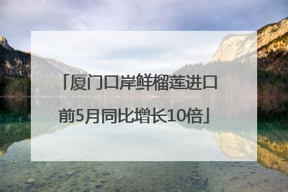 厦门口岸鲜榴莲进口 前5月同比增长10倍