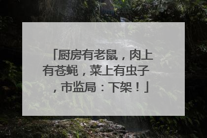 厨房有老鼠，肉上有苍蝇，菜上有虫子，市监局：下架！