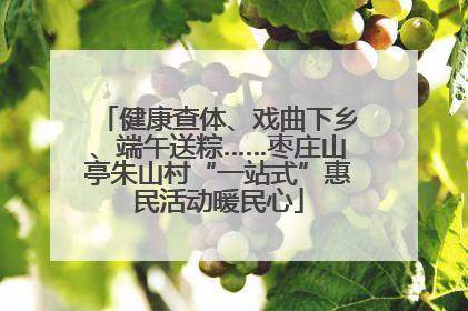 健康查体、戏曲下乡、端午送粽……枣庄山亭朱山村“一站式”惠民活动暖民心