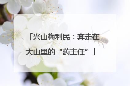 兴山梅利民：奔走在大山里的“药主任”