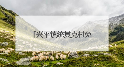 兴平镇统其克村免费发放钾肥 助力农业增产农民增收