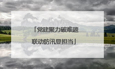 党建聚力破难题 联动防汛显担当