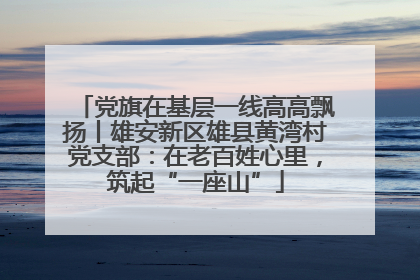 党旗在基层一线高高飘扬丨雄安新区雄县黄湾村党支部：在老百姓心里，筑起“一座山”