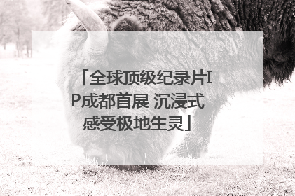 全球顶级纪录片IP成都首展 沉浸式感受极地生灵