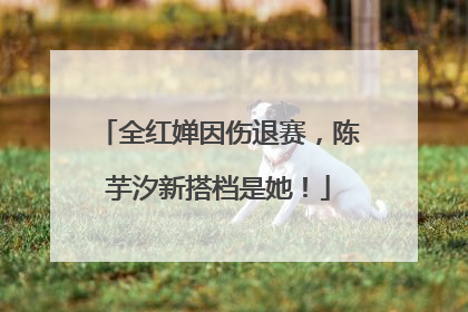 全红婵因伤退赛，陈芋汐新搭档是她！