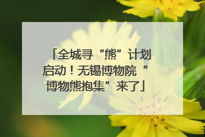 全城寻“熊”计划启动！无锡博物院“博物熊抱集”来了
